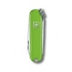 Victorinox - Classic Sd - Smashed Avocado - 0.6223.43G