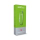 Victorinox - Classic Sd - Smashed Avocado - 0.6223.43G