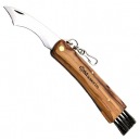 COUTEAU A CHAMPIGNON MASERIN LAME INOX + BROSSE / MANCHE OLIVIER 12 CM